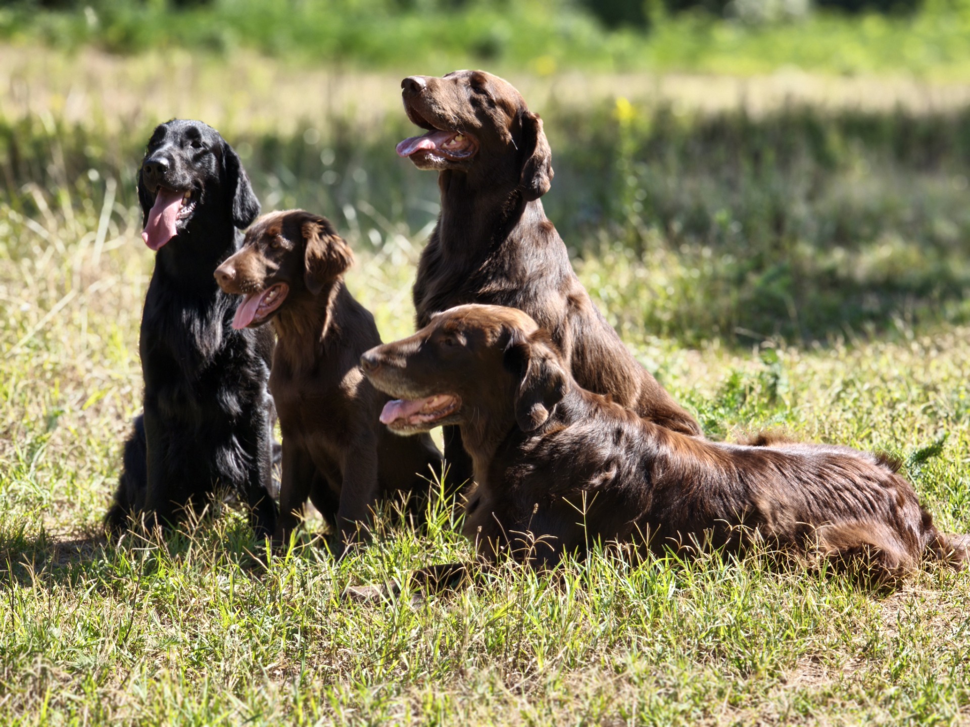 Darlene, Fergy, Táňa, Berny 8/2026